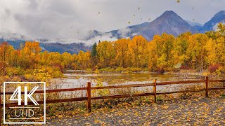 3 HOURS 4K Animated Screensaver with Relaxing Ambient Music  Fall Foliage  Part 1 [upl. by Anayra201]