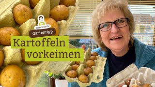 Schneller zur Ernte Kartoffeln vorkeimen Zwei Methoden [upl. by Elehcor92]