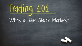 Trading 101 What is the Stock Market [upl. by Anneehs336]