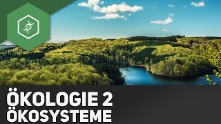 Ökosysteme  Ökologie 2 [upl. by Nosyaj491]