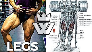 Full Leg Workout  20 Exercises for Strong Legs [upl. by Li348]