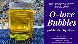 DIY Easy 30Minute Liquid Soap  Recipe Included  The Ultimate Guide to Liquid So [upl. by Aivil]