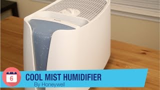 Honeywell Cool Mist Humidifier Review  6 Months Later [upl. by Gallenz]