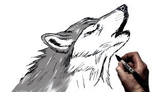 How to Draw A Howling Wolf  Step by Step [upl. by Nawtna529]