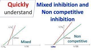 Mixed inhibition and Non competitive inhibition [upl. by Ericka]