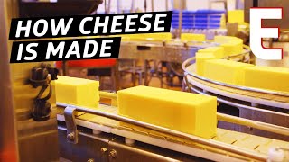 How Cheddar Cheese Is Made In a Factory — The Process [upl. by Amery]