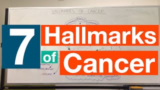 Hallmarks of Cancer  Pathophysiology [upl. by Otrebor631]