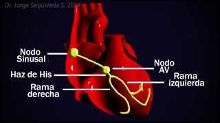 Electrocardiografía Básica Parte 34 [upl. by Estis]