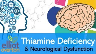 Vitamin B1 Thiamine Deficiency Neurological Dysfunction amp Disease [upl. by Ecyned]