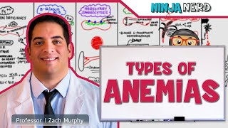 Hematology  Types of Anemias [upl. by Ennyletak582]