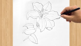 How to Draw an Orchid Flower  Easy Step by Step Orchid Drawing Tutorial for Beginners [upl. by Lebatsirc]