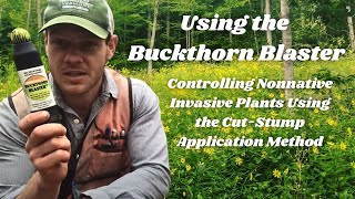 Using the Buckthorn Blaster Controlling Invasive Plants Using CutStump Application of Herbicide [upl. by Eidarb205]