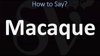 How to Pronounce Macaque CORRECTLY [upl. by Ahsiei]