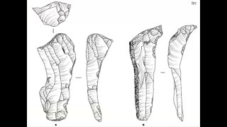 Kirsty Dingwall Mesolithic Milltimber [upl. by Euk]