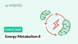 Energy Metabolism  Part 8 Anaerobic vs Aerobic Metabolism [upl. by Lorollas]