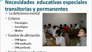 Necesidades Educativas Especiales Transitorias y Permanenteswmv [upl. by Wilhelm]