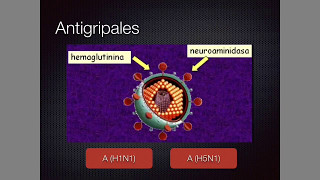 Antivirales [upl. by Nonnac]