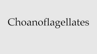 How to Pronounce Choanoflagellates [upl. by Soma608]