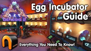 ARK Egg Incubator Guide And How To Use It ARK [upl. by Leugimsiul]