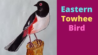 How To Draw Eastern Towhee Bird  Songbird  Cute Bird  Bird Animal [upl. by Keiko]