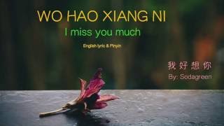 Wo Hao Xiang Ni lyric I Miss You Much  Pinyin amp English  Learn Chinese by songs [upl. by Ursal]