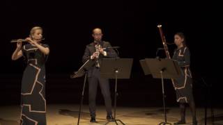 Francois Devienne Trio in Bb Op 61 no 5 1795 flute clarinet bassoon [upl. by Jer]