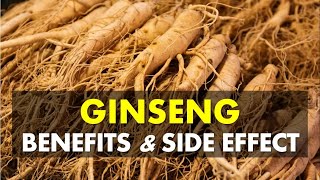 Ginseng Benefits and Side Effects May Fight Tiredness and Increase Energy Levels [upl. by Waldos515]