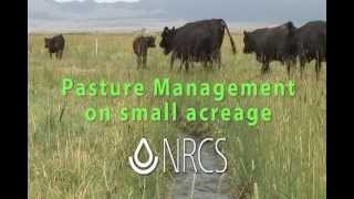 Small Pasture Management cc [upl. by Adnahsor]