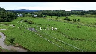 北大夏景色【北海道大学公式PV】 [upl. by Assirac]