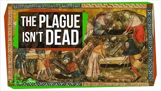 Could the Plague Rise Again [upl. by Naaitsirhc]