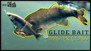 Glide Bait Bass Fishing 🐟  Everything You Need to Know ‼️ [upl. by Rizan]