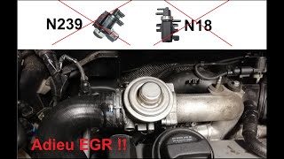 Supprimer EGR TDI [upl. by Nellak]