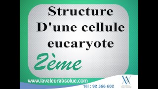 ✅science  Structure dune cellule eucaryote 👉 2ème année sciences [upl. by Eiramyelhsa]