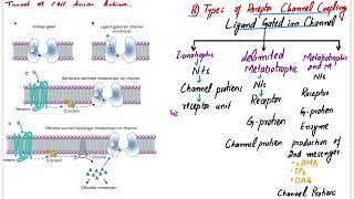 CNS Pharmacology  Katzung Chapter 25  Introduction to CNS Pharmacology  cns pharmacology lectures [upl. by Coppock280]