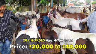 DUSSERA YEOLA HORSE MARKET 12 OCT 2021 [upl. by Deeas]