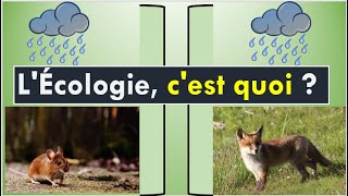 Définition de lécologie [upl. by Danna]