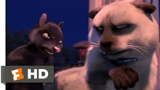 Over the Hedge  Cat vs Skunk  Fandango Family [upl. by Jahdal]