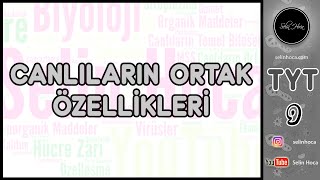 1 Canlıların Ortak Özellikleri [upl. by Eonak350]