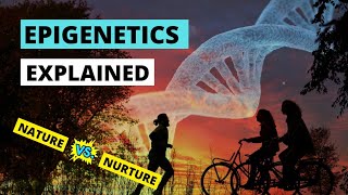 Epigenetics explained simply  Nature vs Nurture [upl. by Niltag]