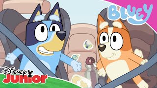 🚗 Przejażdżka z tatą  Blue  Disney Junior Polska [upl. by Inimod]