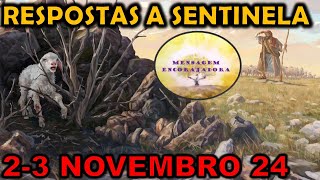 RESPOSTAS A Estudo Sentinela 23 novembro 2024 [upl. by Selec]