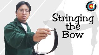 Archery  How to String a Bow [upl. by Mosora]