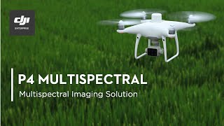 P4 Multispectral  Multispectral Imaging Drone Solution [upl. by Nilrac]