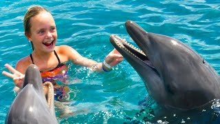 We Play with Dolphins on a Tropical Island Kids Fun TV [upl. by Josephina]