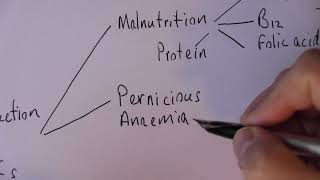 Anaemia 1 Types and causes of anaemia [upl. by Teri]