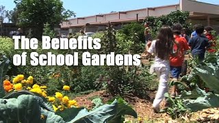 The Benefits of School Gardens [upl. by Leopoldeen]