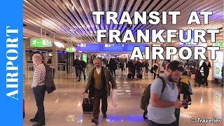 TRANSIT WALK AT FRANKFURT Airport FRA Terminal 1  Connection Flight Transfer Arriving amp Departing [upl. by Faustus]