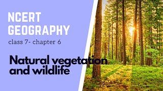 Chapter 6 Natural vegetation amp wildlife  Class 7  NCERT Geography  Types of Forest [upl. by Leupold823]