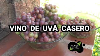 Como hacer vino de uva casero muy fácil  paso a paso [upl. by Bocaj124]