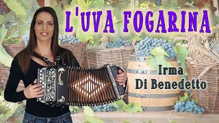 LUVA FOGARINA polka IRMA DI BENEDETTO  Organetto Abruzzese Accordion [upl. by Nehttam]